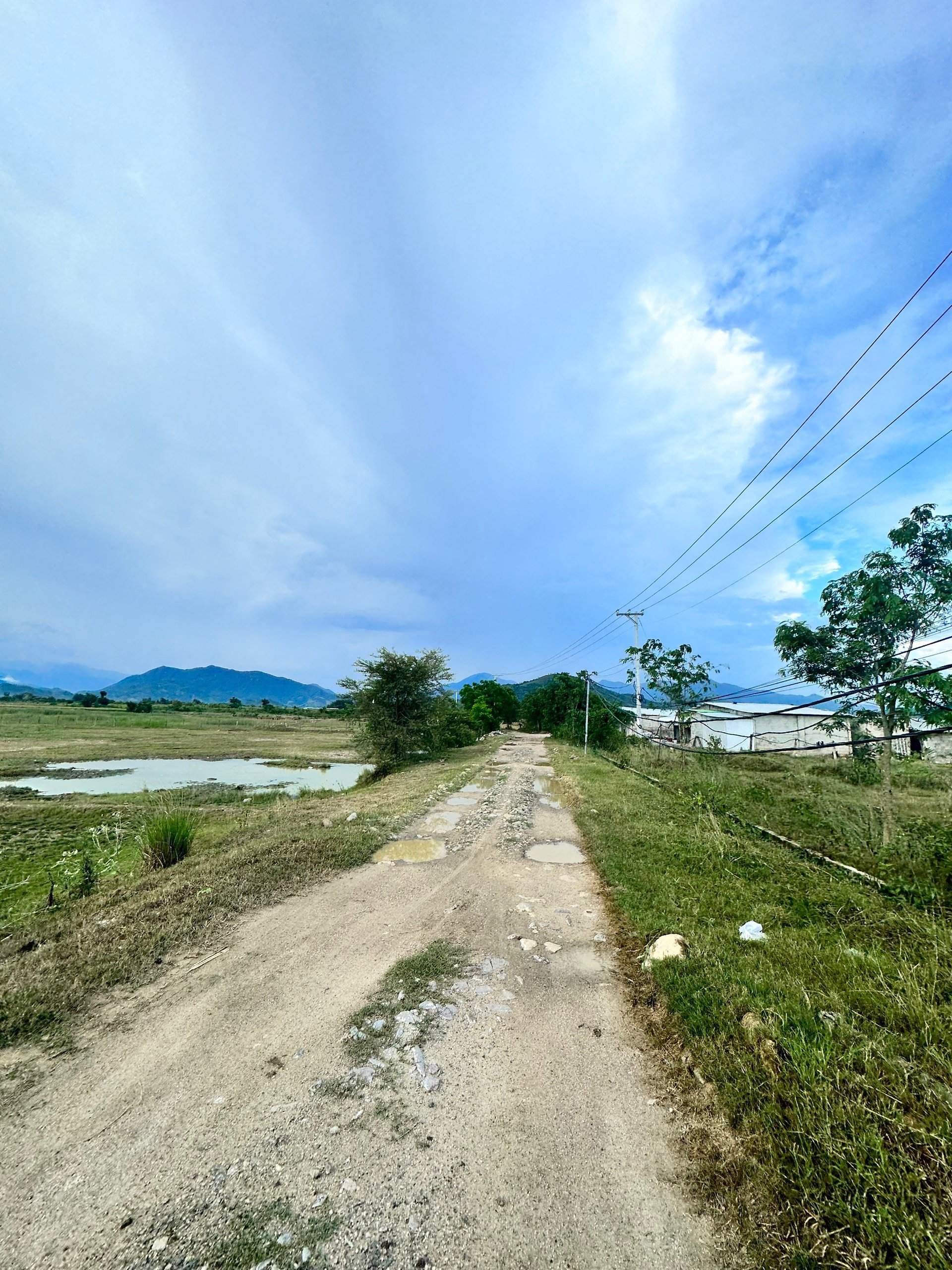 Đất Trang Trại Phước Tiến, Bác Ái, Ninh Thuận | Đầu Tư Tuyệt Vời Giá 8xx Triệu 4
