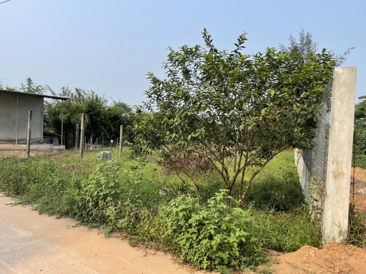 ĐẤT ĐẸP - GIÁ TỐT - Cần Bán Nhanh Lô Đất  Tại  phường Thủy Lương,TX Hương Thủy, tỉnh Thừa Thiên Huế 3