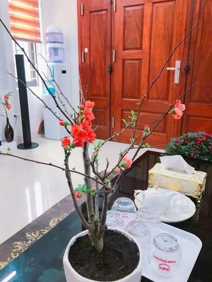 Bán ngôi nhà 3 tầng mới xây thôn Du Nội, Đông Anh. oto vào nhà. dt 80m. lh:0914200366 2