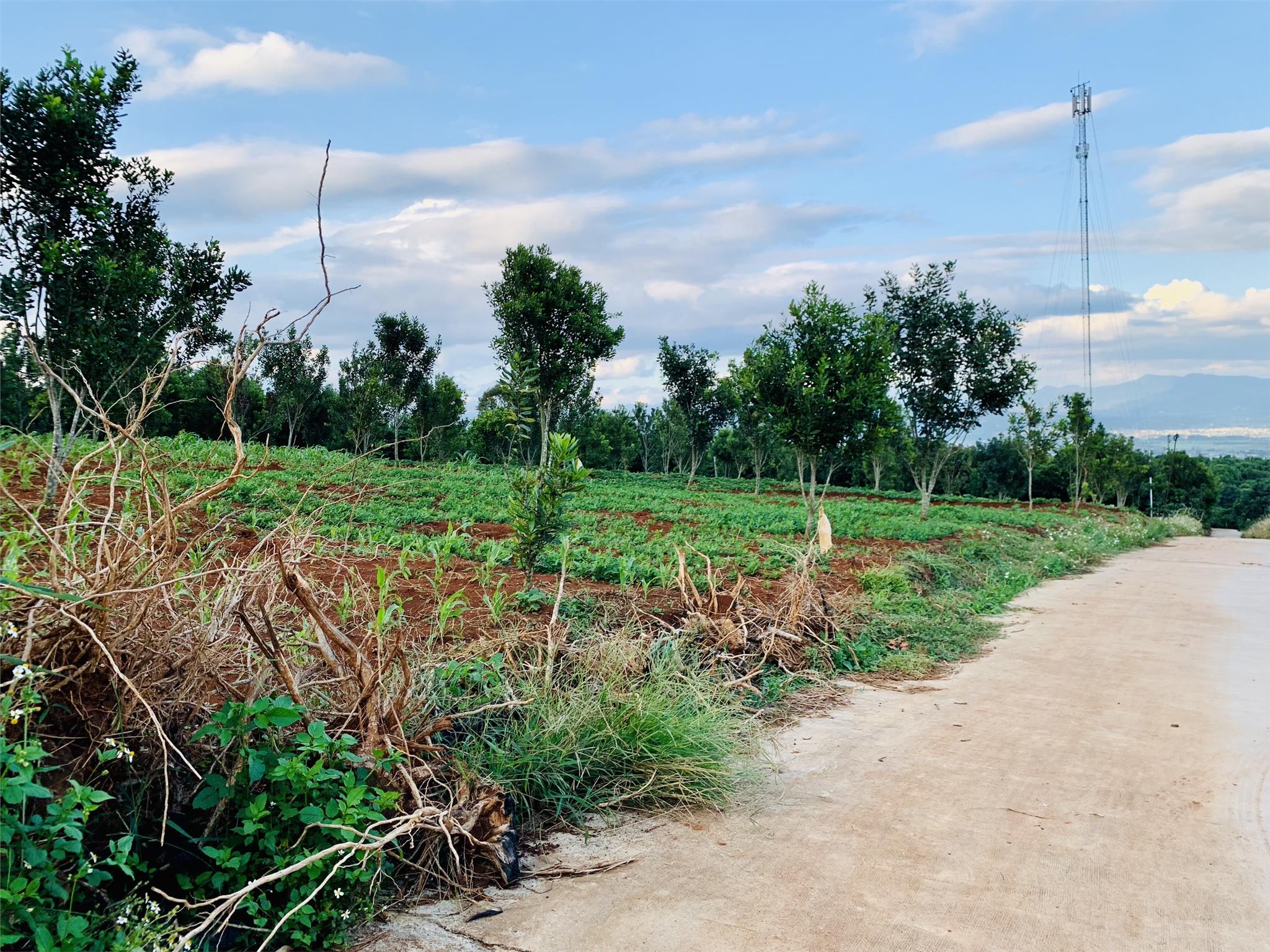 ĐẤT CHÍNH CHỦ - GIÁ TỐT – ĐẤT VEIW  ĐẸP - Cần Bán Nhanh Tại Xã Tân Hà, Huyện Lâm Hà, Tỉnh Lâm Đồng 4