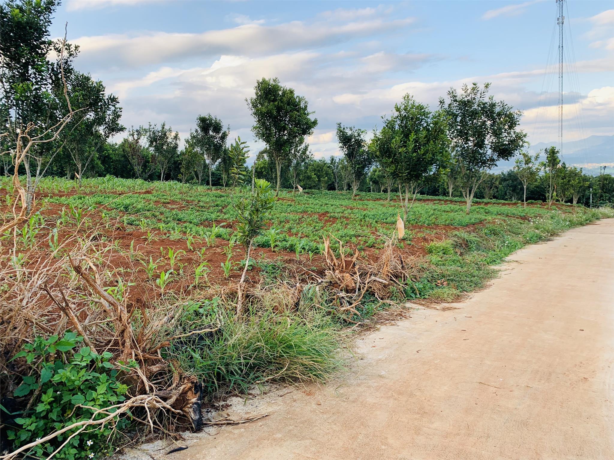 ĐẤT CHÍNH CHỦ - GIÁ TỐT – ĐẤT VEIW  ĐẸP - Cần Bán Nhanh Tại Xã Tân Hà, Huyện Lâm Hà, Tỉnh Lâm Đồng 5