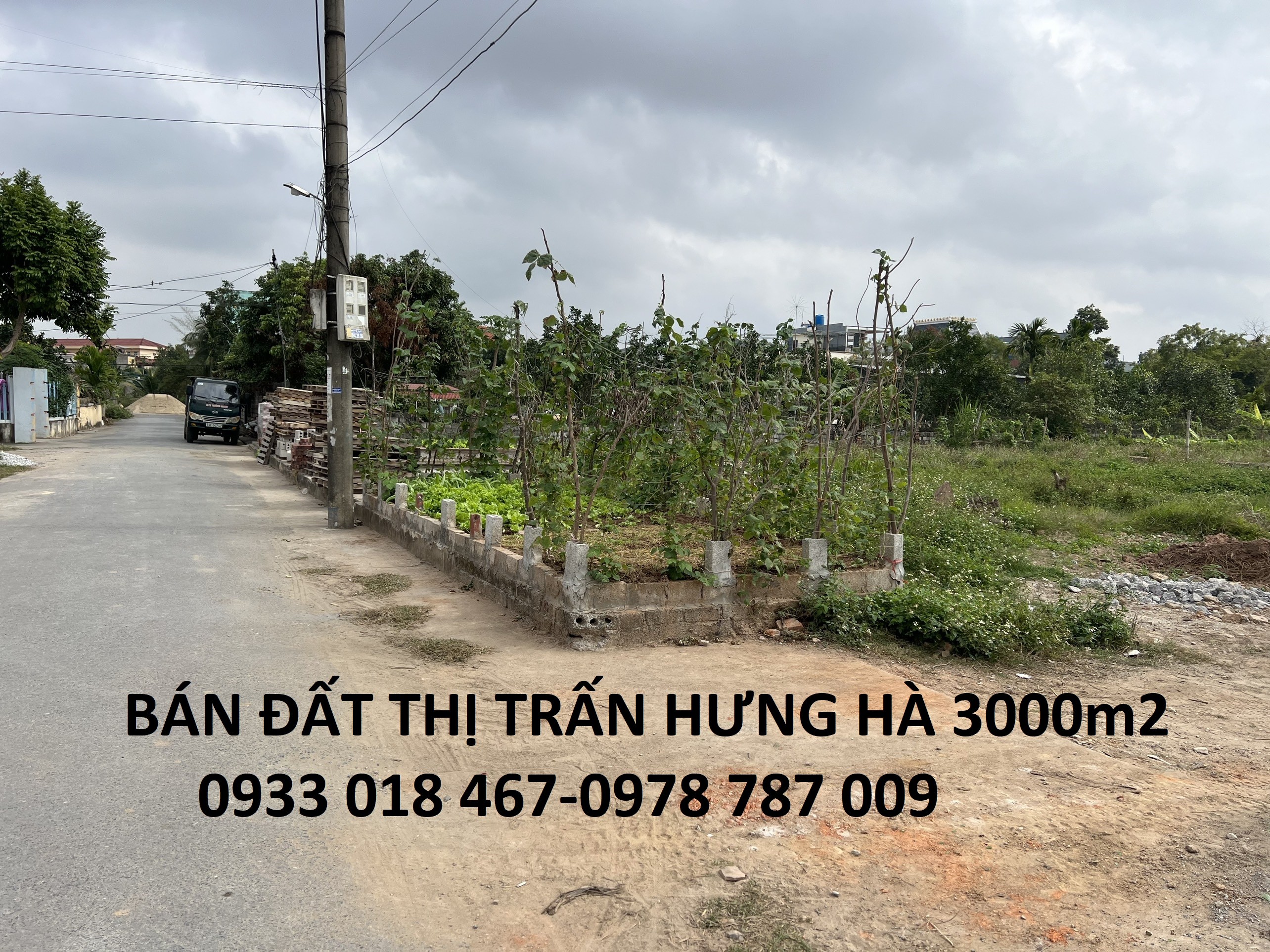 Cần bán Đất Thị trấn Hưng Hà, Hưng Hà, Diện tích 3000m², Giá Thương lượng 2