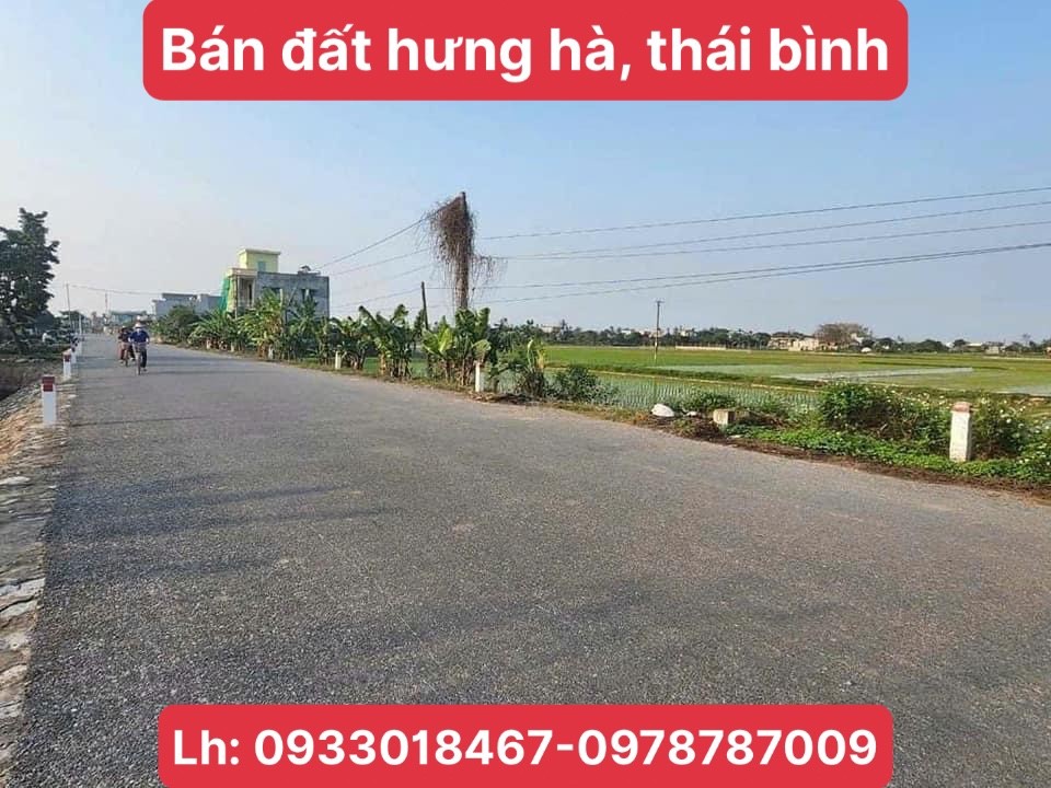 Cần bán Đất Thị trấn Hưng Hà, Hưng Hà, Diện tích 3000m², Giá Thương lượng 4