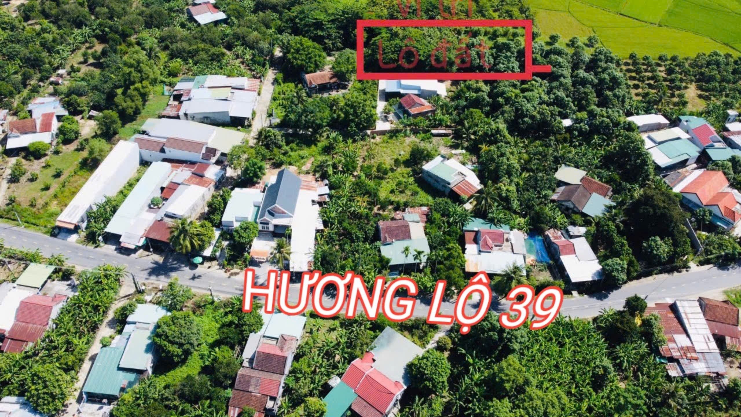 Bán đất Diên Lâm giá rẻ sát bên Hương Lộ 39 - cách chợ 900m 8