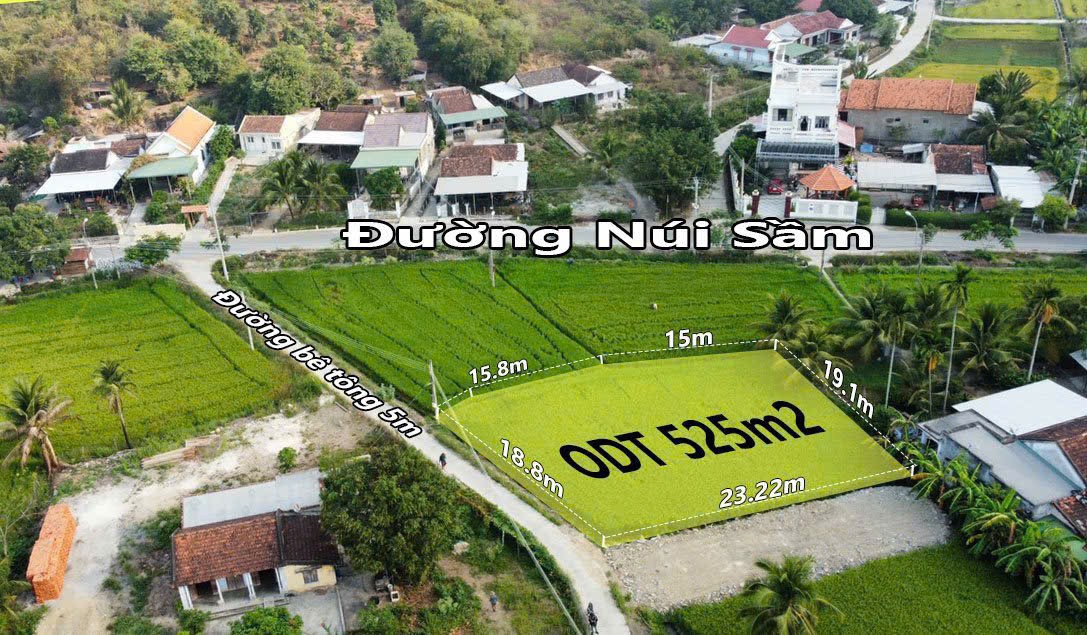 Cần bán Đất Phường Ninh Giang, Ninh Hòa, Diện tích 501m², Giá 3 Tỷ 1