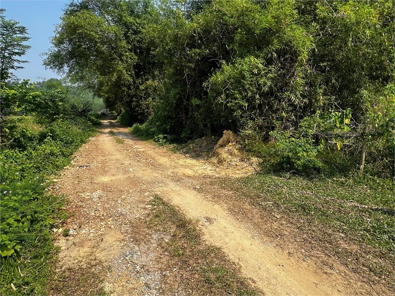 Cần bán đất đồi làm Homestay, kinh doanh dịch vụ du lịch, diện tích 1,3ha giá 1,5 tỷ. 4