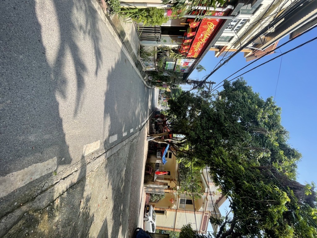 Cần bán Đất đường Thúy Lĩnh, Phường Lĩnh Nam, Diện tích 50m², Giá 8.8 Tỷ
