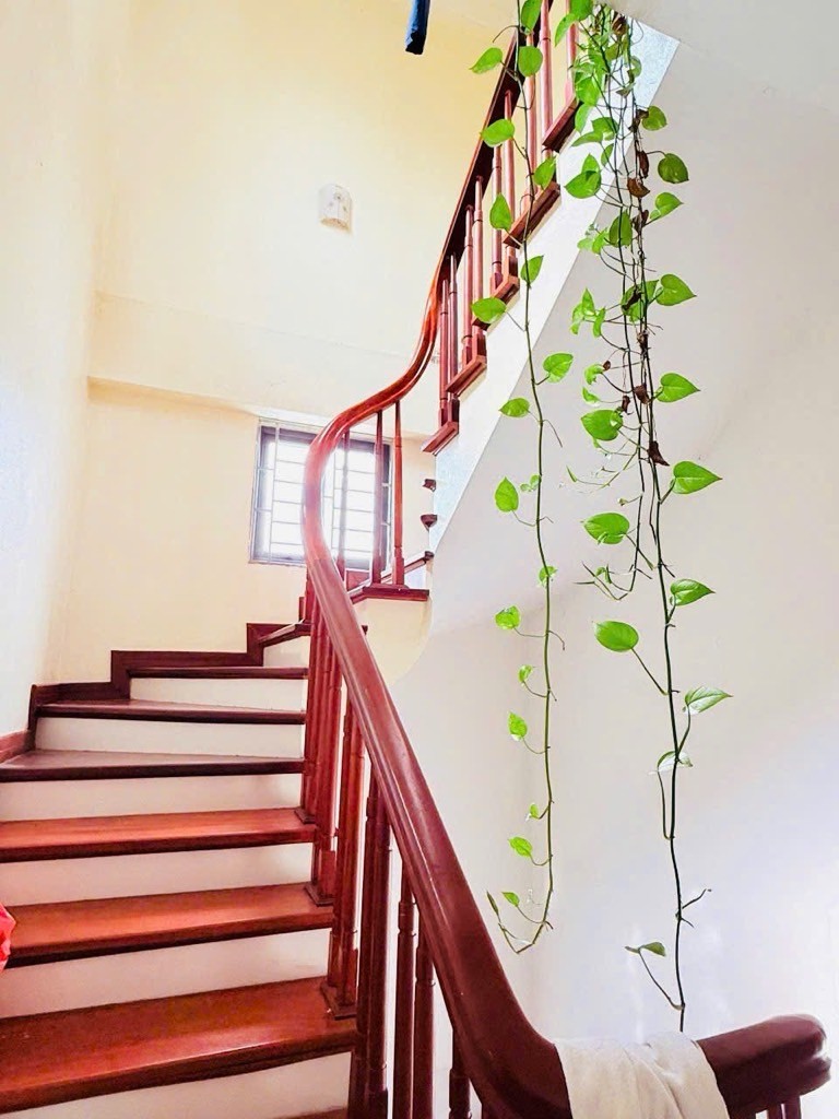 Cần bán Nhà mặt tiền đường Nam Dư, Phường Vĩnh Hưng, Diện tích 61m², Giá 19.5 Tỷ 5