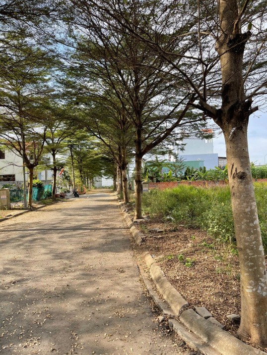 VP BĐS Đất Việt, nằm trục chính hẻm 68, chuyên kí gửi bán nhanh các lô D/A Thời Báo Kinh Tế Q9 3