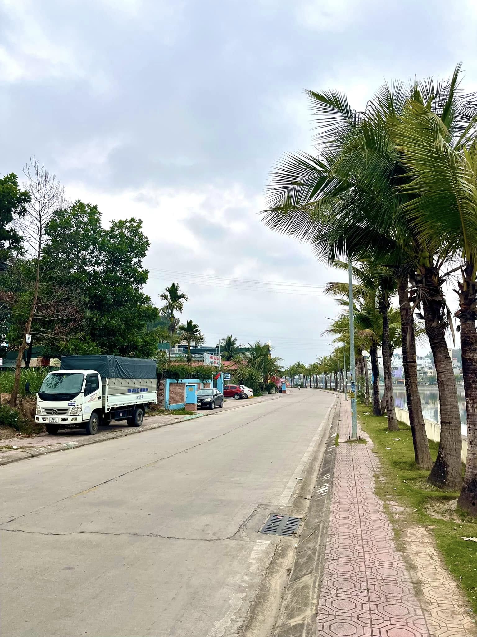 Cần bán Đất đường Hùng Thắng, Phường Hùng Thắng, Diện tích 217m², Giá 29.5 Tỷ 2