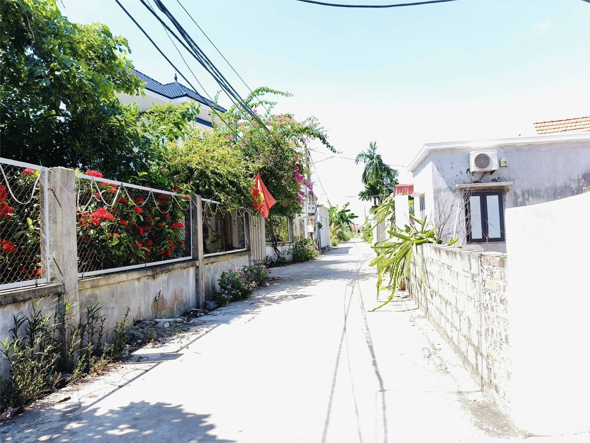 Đất hiếm Minh Đức – Đồ Sơn, gần đường ven biển, giá chỉ hơn 7xx triệu – ZALO 0567 222 555 3