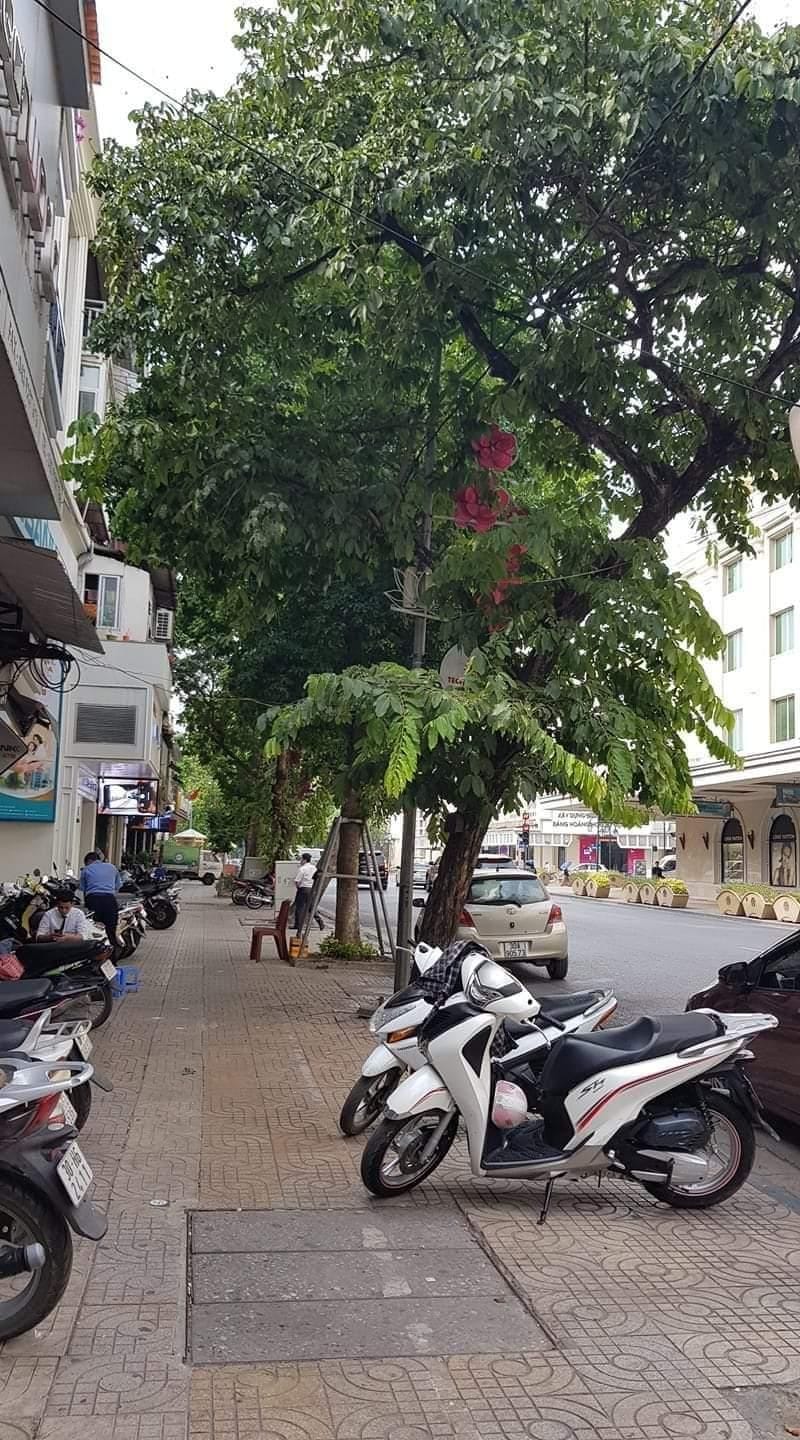Nhà Hàng Bài – Tràng Tiền MT 5.2M 5 Tầng 2 Thoáng 26.5 Tỷ Ngõ Rộng Thoáng Gần Phố
