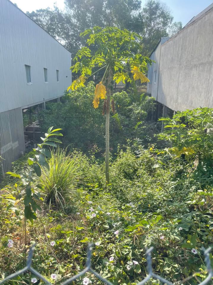 ĐẤT 627m² MẶT TIỀN TRẦN HƯNG ĐẠO – KHU VỰC TRUNG TÂM MỸ THỚI – GIÁ TRỊ VƯỢT TRỘI