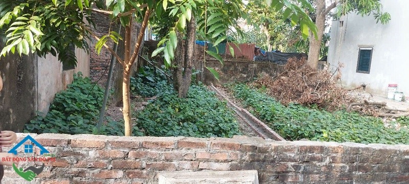 Thoát Vốn - Bán đất Đại Định Tam Hưng Thanh Oai, 46m2 gần chợ, giá đầu tư 2