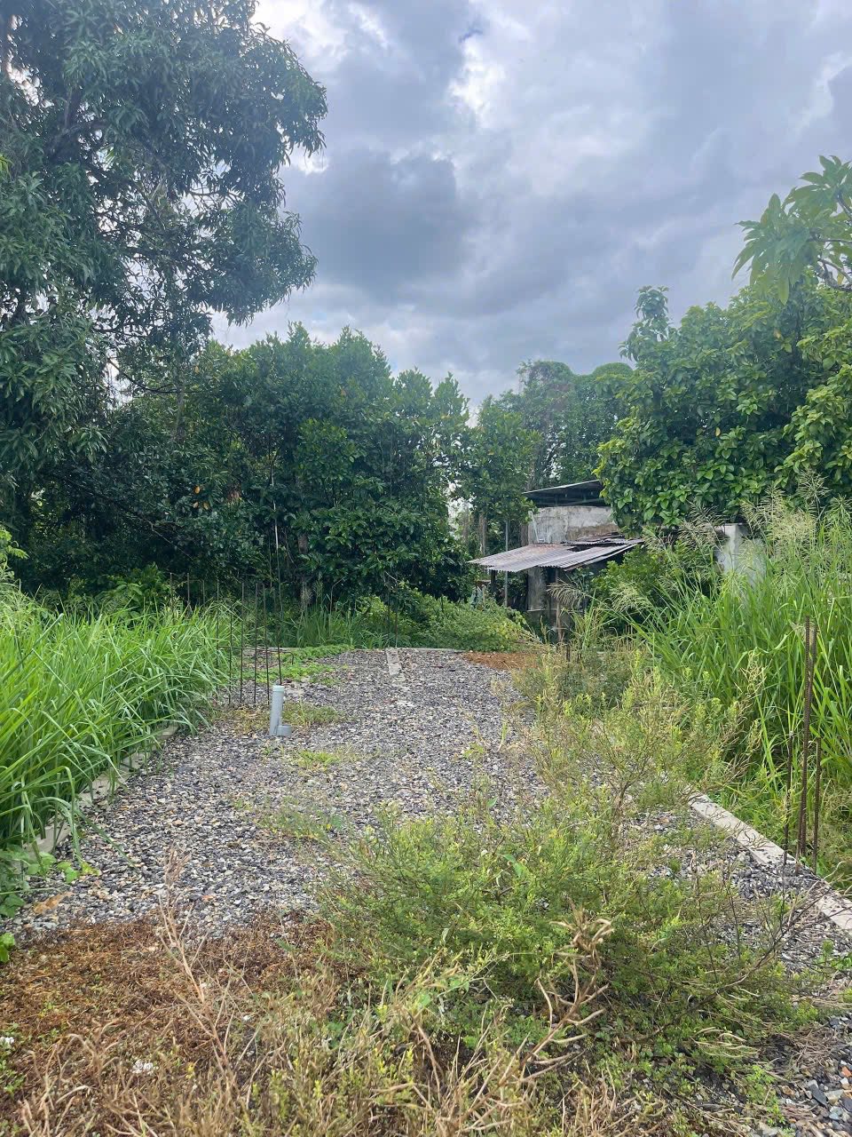 BÁN ĐẤT TẶNG BẢN THIẾT KẾ ĐÃ CÓ MÓNG SẪN THỊ TRẤN DIÊN KHÁNH 3