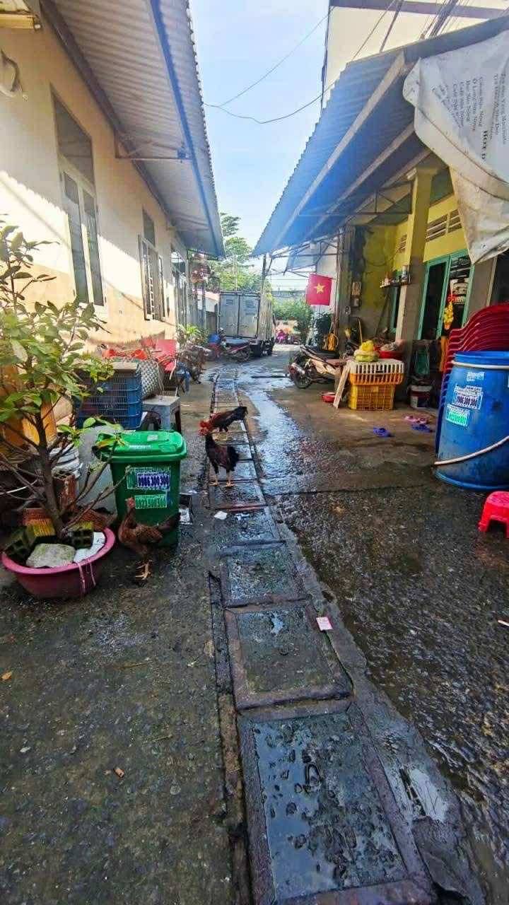 NGAY TRUNG TÂM HÓC MÔN, CẤP 4 133M² HẺM Ô TÔ. SÁT CHỢ HÓC MÔN, GIÁ RẺ CHỈ 4,2 TỶ THƯƠNG LƯỢNG. 3