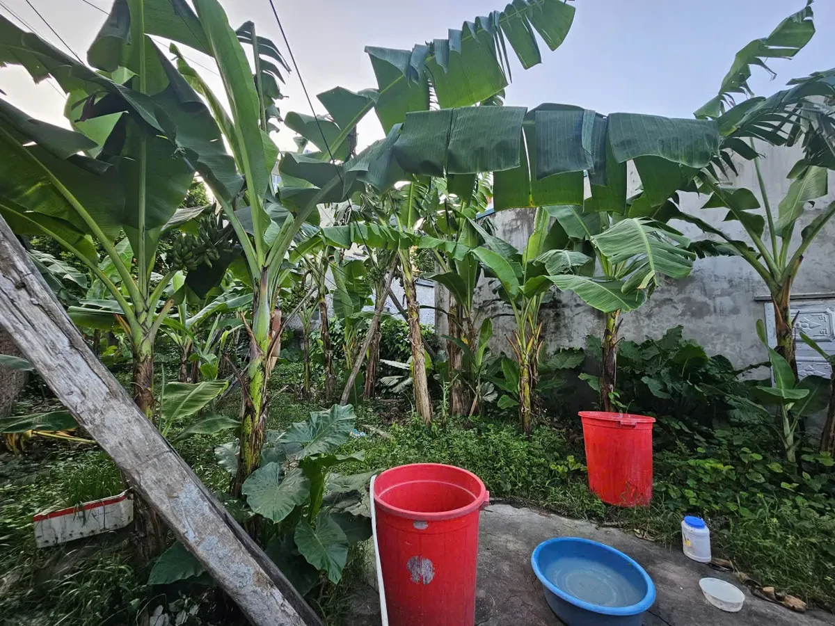 ĐẤT ĐÊ VÀNG PHÚC LỢI 106 M2 MẶT TIỀN  6.5M 11 tỷ Long Biên Hà Nội.Ô TÔ VÀO ĐẤT. 3