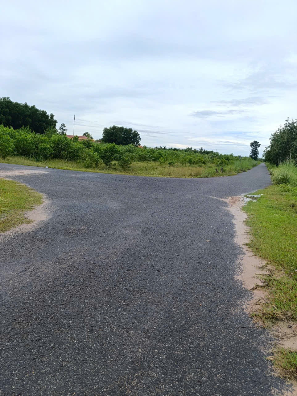 Chính Chủ Bán 1043,1m2 Đất Mặt Tiền Đường Trung Tâm Cụm Xã Nhựa Tại Hoà Hiệp, Tân Biên 3