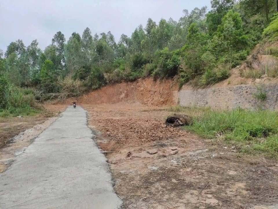 Cần bán Đất đường Hùng Thắng, Phường Hùng Thắng, Diện tích 299m², Giá 20.5 Tỷ