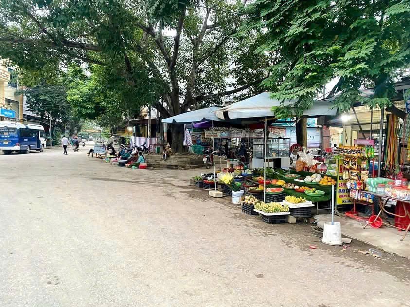 Bán mảnh đất 690m tại Thạch Thành đã tách làm 3 lô giá 195 triệu/lô