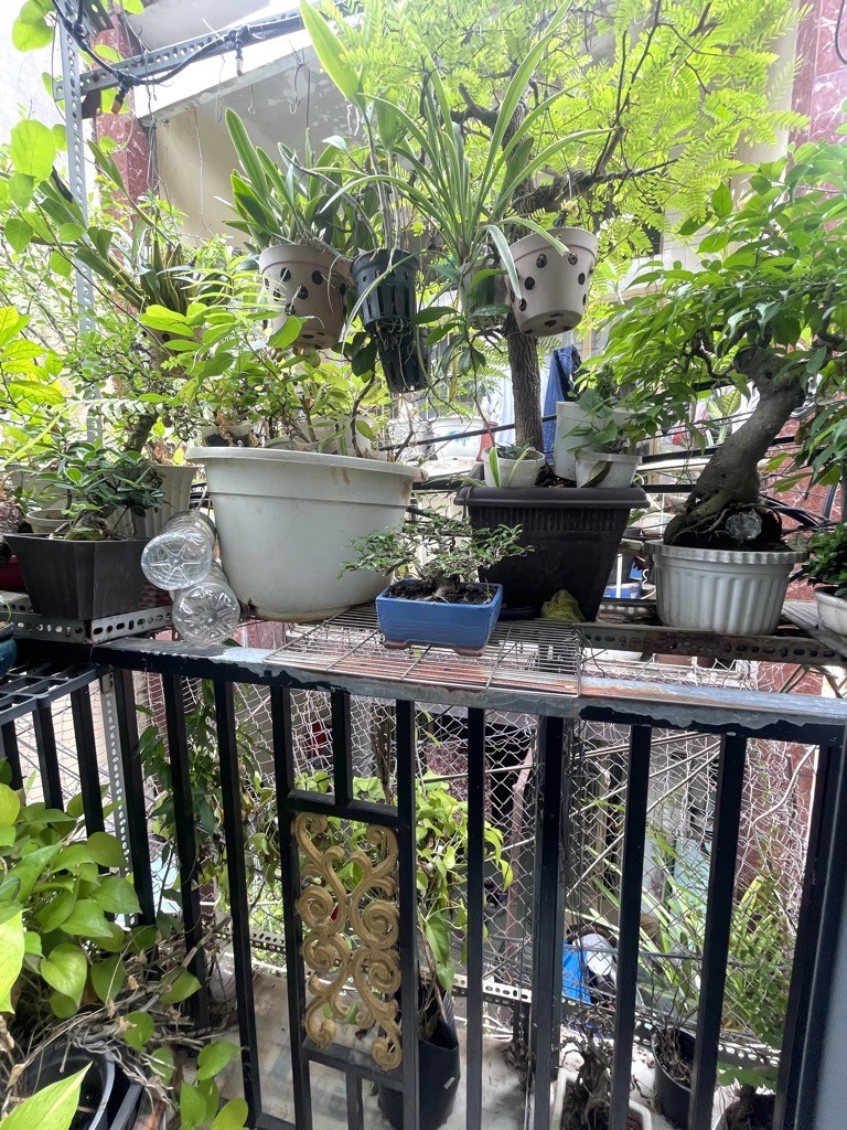Bán nhà hẻm thông CMT8 2PN hơn 1 tỷ SHR 2