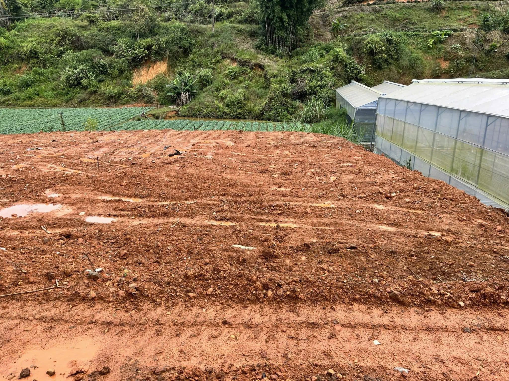 MỞ BÁN 3 LÔ ĐẤT XÂY DỰNG MẶT TIỀN ĐƯỜNG NHỰA ĐA PHÚ, ĐÀ LẠT GÍA 3,5 TỶ/LÔ 3
