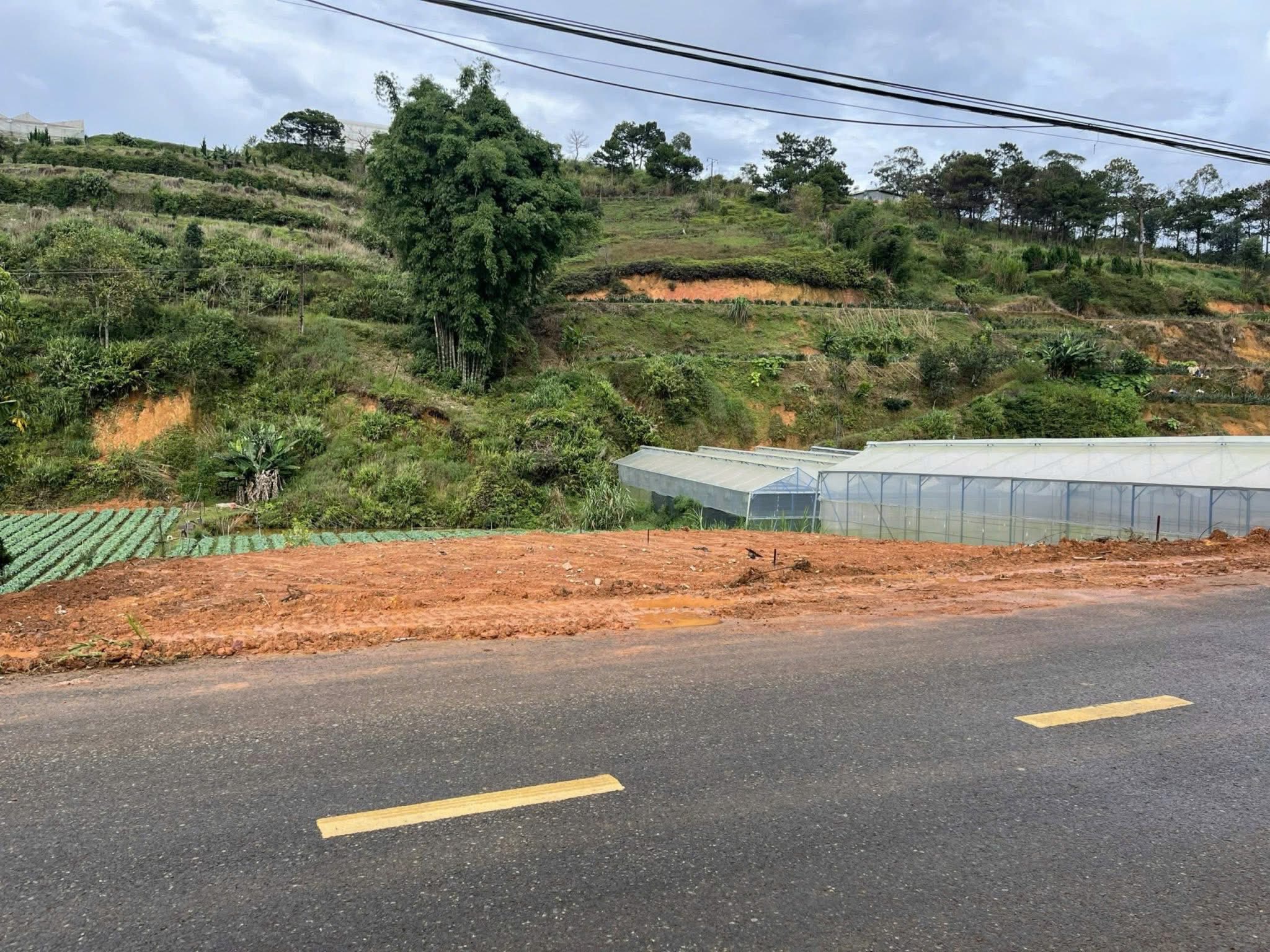 MỞ BÁN 3 LÔ ĐẤT XÂY DỰNG MẶT TIỀN ĐƯỜNG NHỰA ĐA PHÚ, ĐÀ LẠT GÍA 3,5 TỶ/LÔ 2