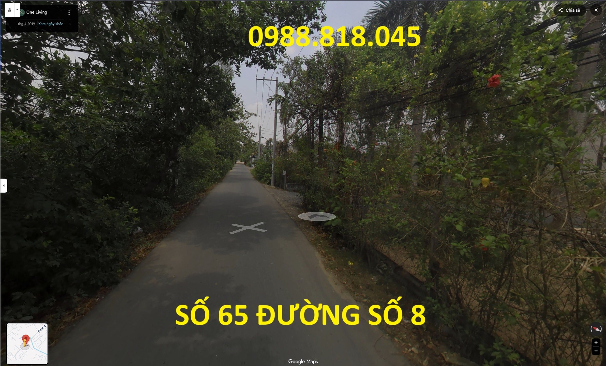 Bán đất đường số 8 phường Trường Thạnh , quận 9 (nay là quận Thủ Đức), TP. HCM, 2215m2, MT 38m, ô 3