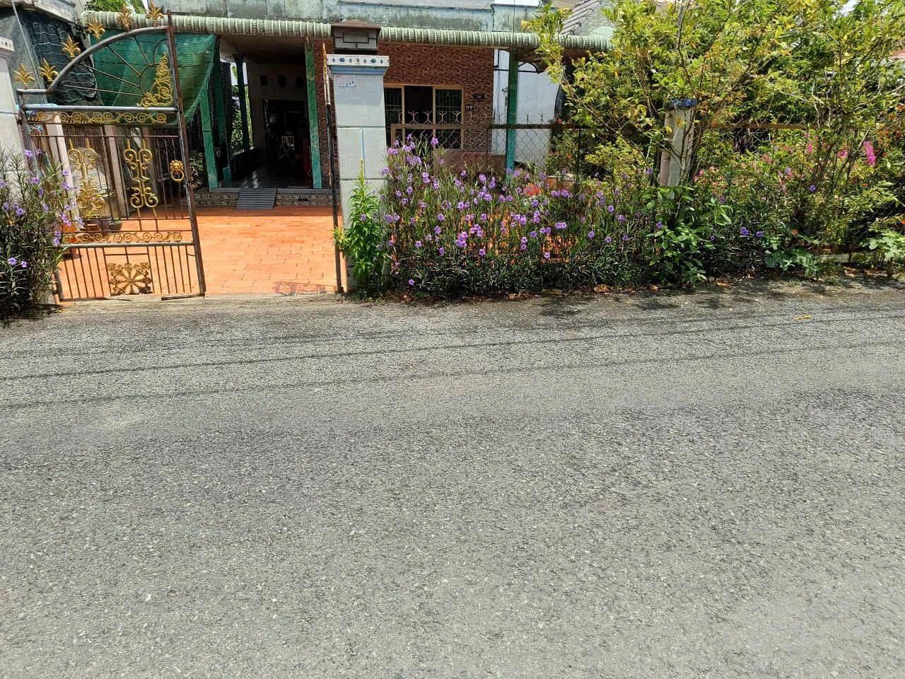Cần bán Đất Thị trấn Lai Vung, Lai Vung, Diện tích 722.8m², Giá 2.5 Tỷ 3