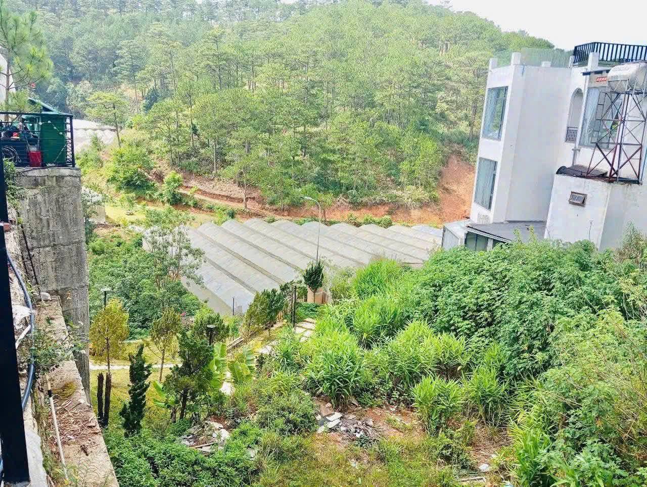 BÁN GẤP ĐẤT BIỆT THỰ VIEW RỪNG THÔNG ĐẸP Đường Hoàng Hoa Thám – P.10 – TP. Đà Lạt Giá chỉ 8.3 tỷ 2