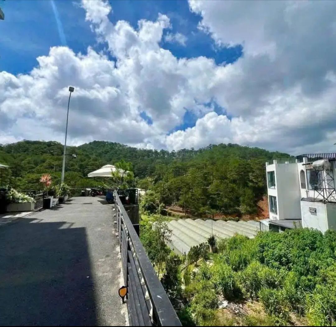 BÁN GẤP ĐẤT BIỆT THỰ VIEW RỪNG THÔNG ĐẸP Đường Hoàng Hoa Thám – P.10 – TP. Đà Lạt Giá chỉ 8.3 tỷ