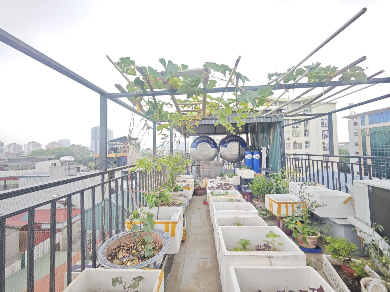 Bán nhà Trần Cung, Hoàng Quốc Việt, Phân lô, Oto vào nhà, Thang máy, Nội thất xịn, Kinh doanh, 52m2 6