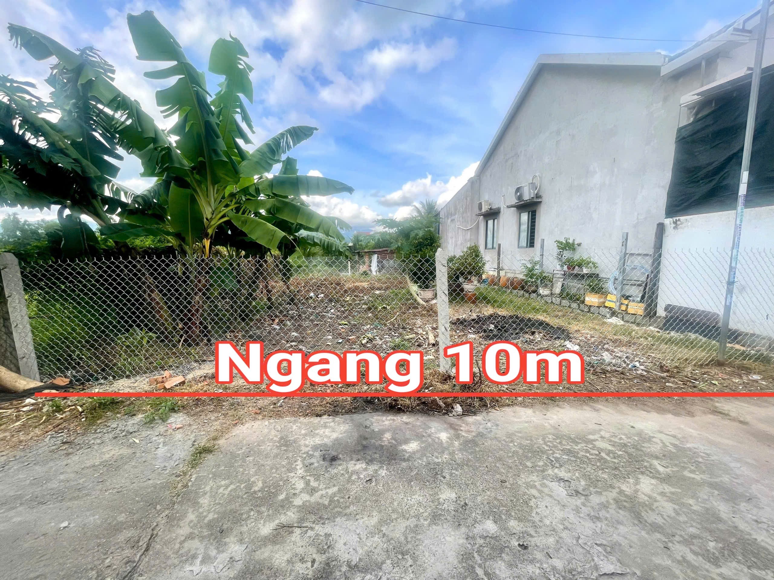 Bán đất Diên Hoà thôn Lạc Lợi sát bên trục đường Lạc Hoà 1