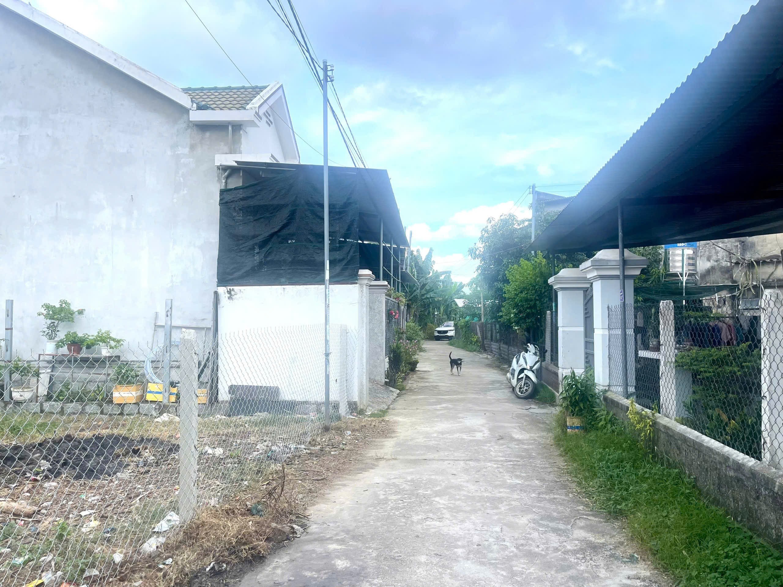 Bán đất Diên Hoà thôn Lạc Lợi sát bên trục đường Lạc Hoà 1 4