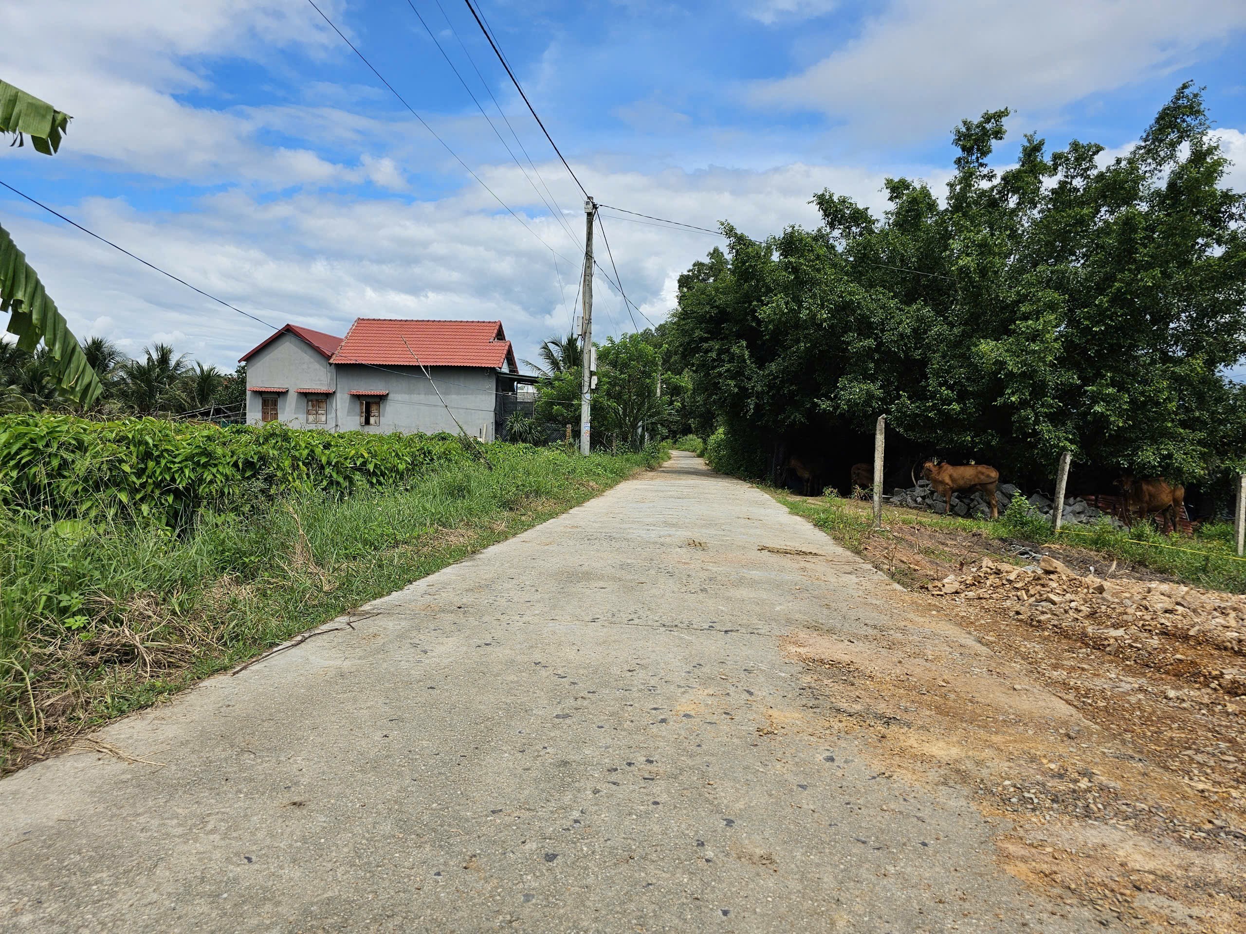 Bán đất Suối Tiên thôn Gò Mè đường thông - đất full thổ cư phù hợp đầu tư xây nhà an cư