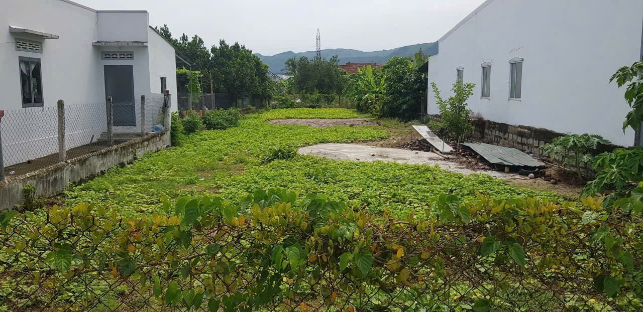 Bán đất Suối Tiên mặt tiền đường nhựa liên thôn QH 30m 6