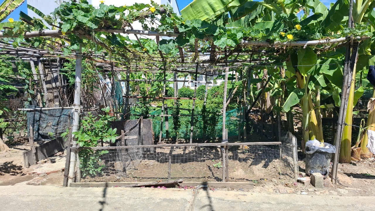 Bán đất Diên An - Phú Ân Nam 3 hẻm đường Cây Duối cạnh 23/10 - đường QH 13m đã trừ lộ giới 3