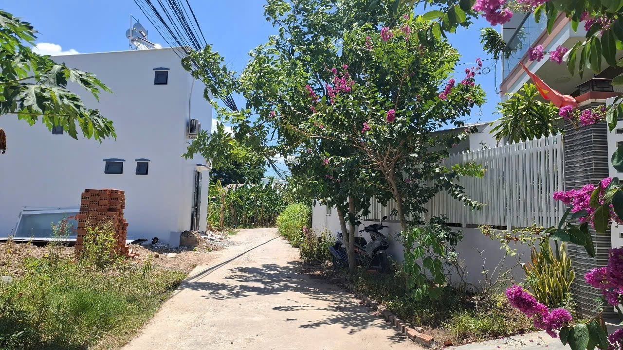 Bán đất Diên An - Phú Ân Nam 3 hẻm đường Cây Duối cạnh 23/10 - đường QH 13m đã trừ lộ giới