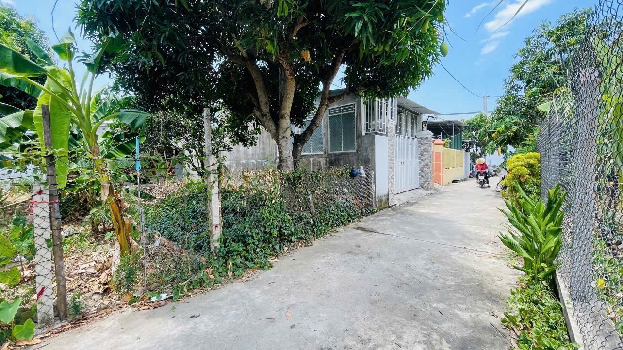 Bán đất Diên An thôn Phú Ân Nam 2 sát bên 23/10 - hẻm đường số 20