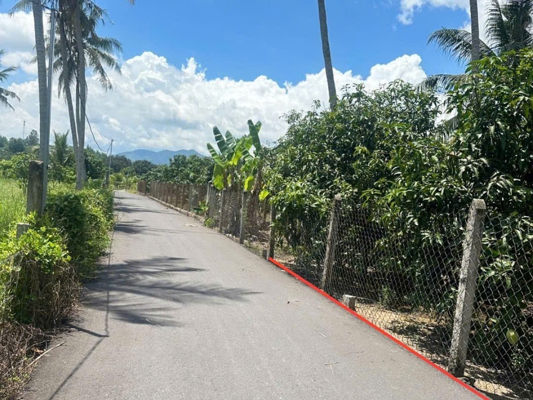 Bán Suối Cát thôn Tân Xương đối diện khu tái định cư - gần chợ kết nối Hương Lộ 39 và QL1A 3