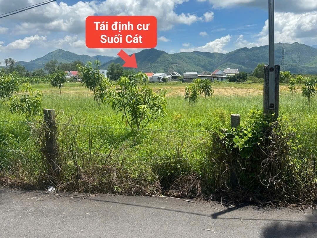 Bán Suối Cát thôn Tân Xương đối diện khu tái định cư - gần chợ kết nối Hương Lộ 39 và QL1A 4