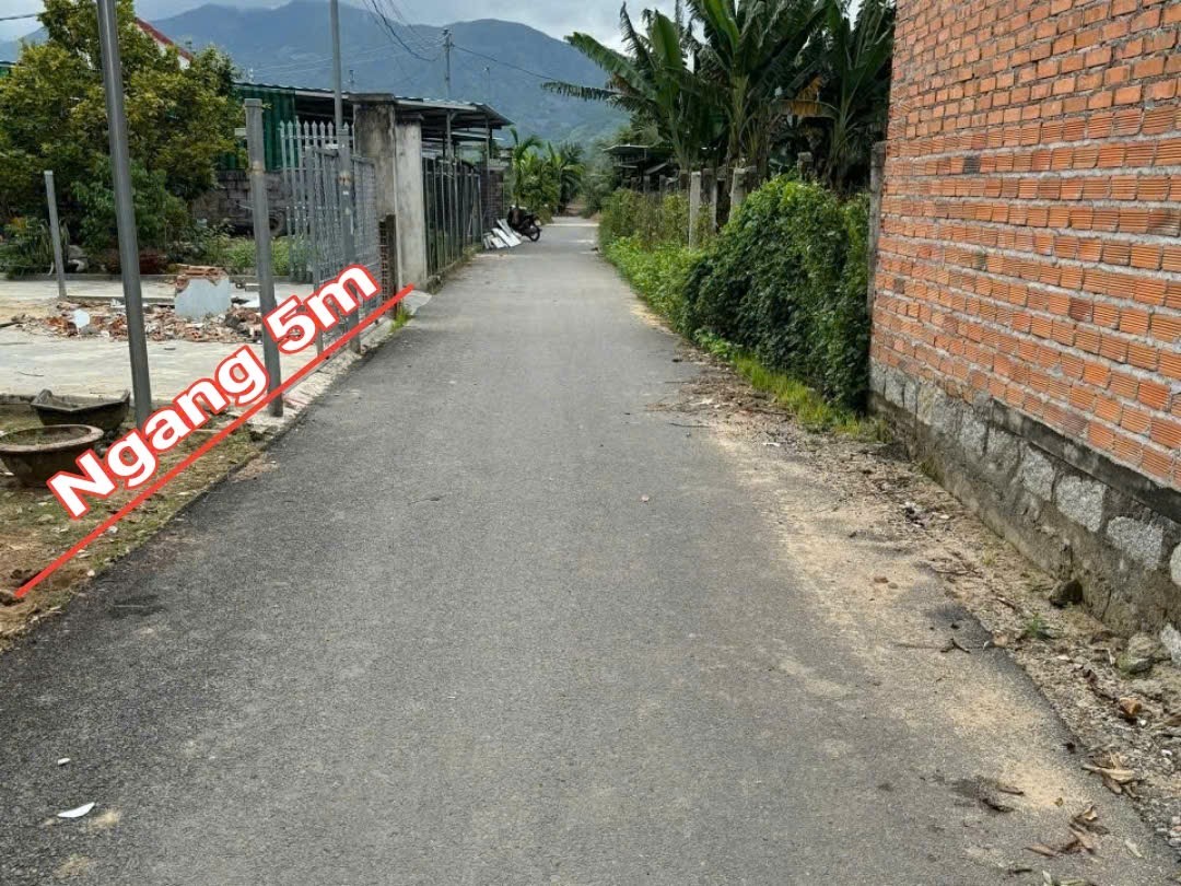 Bán đất Diên Điền mặt tiền đường nhựa thông gần chợ Đại Điền Đông