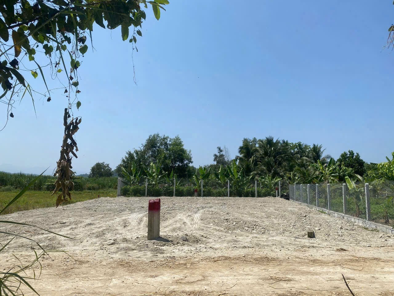 Bán đất Diên Tân giá rẻ full thổ cư sát bên Hương Lộ 62 - đường bê tông 5m 5