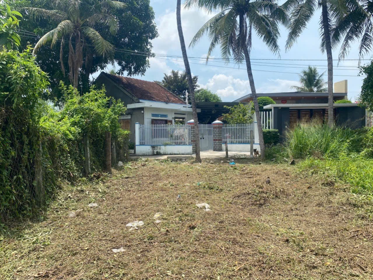 Bán đất Diên Lạc giá rẻ thôn Thanh Minh gần Tỉnh Lộ 2 - oto quay đầu 4