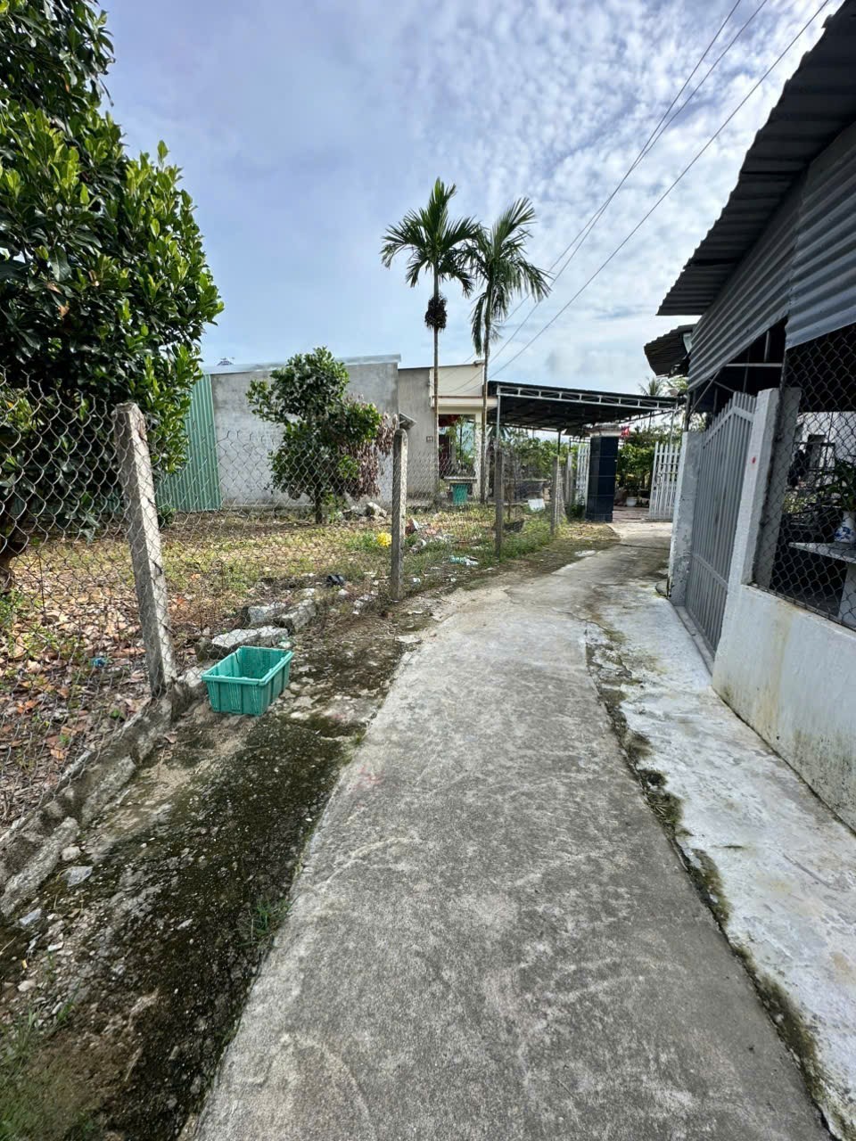 Bán đất Diên Lạc giá rẻ phù hợp làm nhà sân vườn - cách Tỉnh Lộ 2 chỉ 400m 5