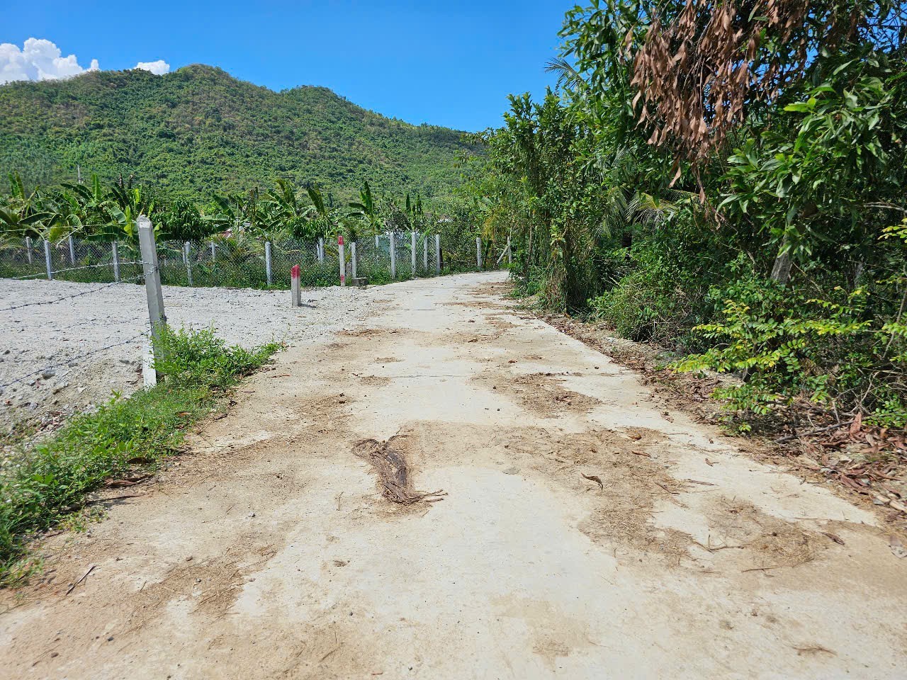 Bán đất Diên Tân giá rẻ full thổ cư sát bên Hương Lộ 62 - đường bê tông 5m 2