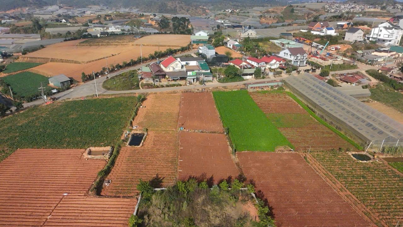 Giảm Giá Cần Bán Gấp 613,9m2 Đất Nguyễn Hoàng, P7, Đà Lạt Giá 9 Tỷ 2