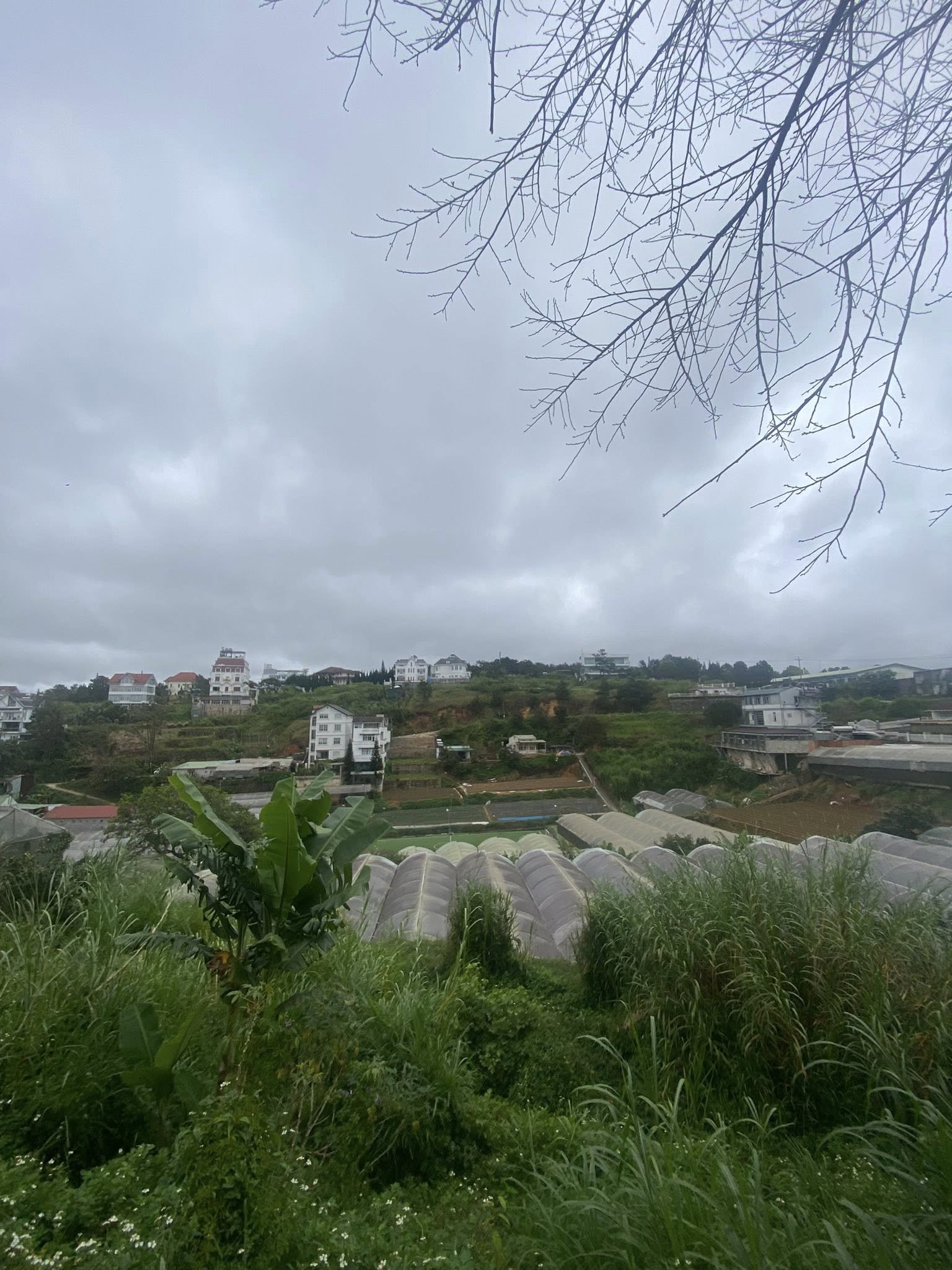 Giảm Giá Bán Gấp Lô Đất View Thoáng Đẹp – Nguyễn Hữu Cảnh, P8 Cũ, Đà Lạt Giá Chỉ 7.9 Tỷ 4