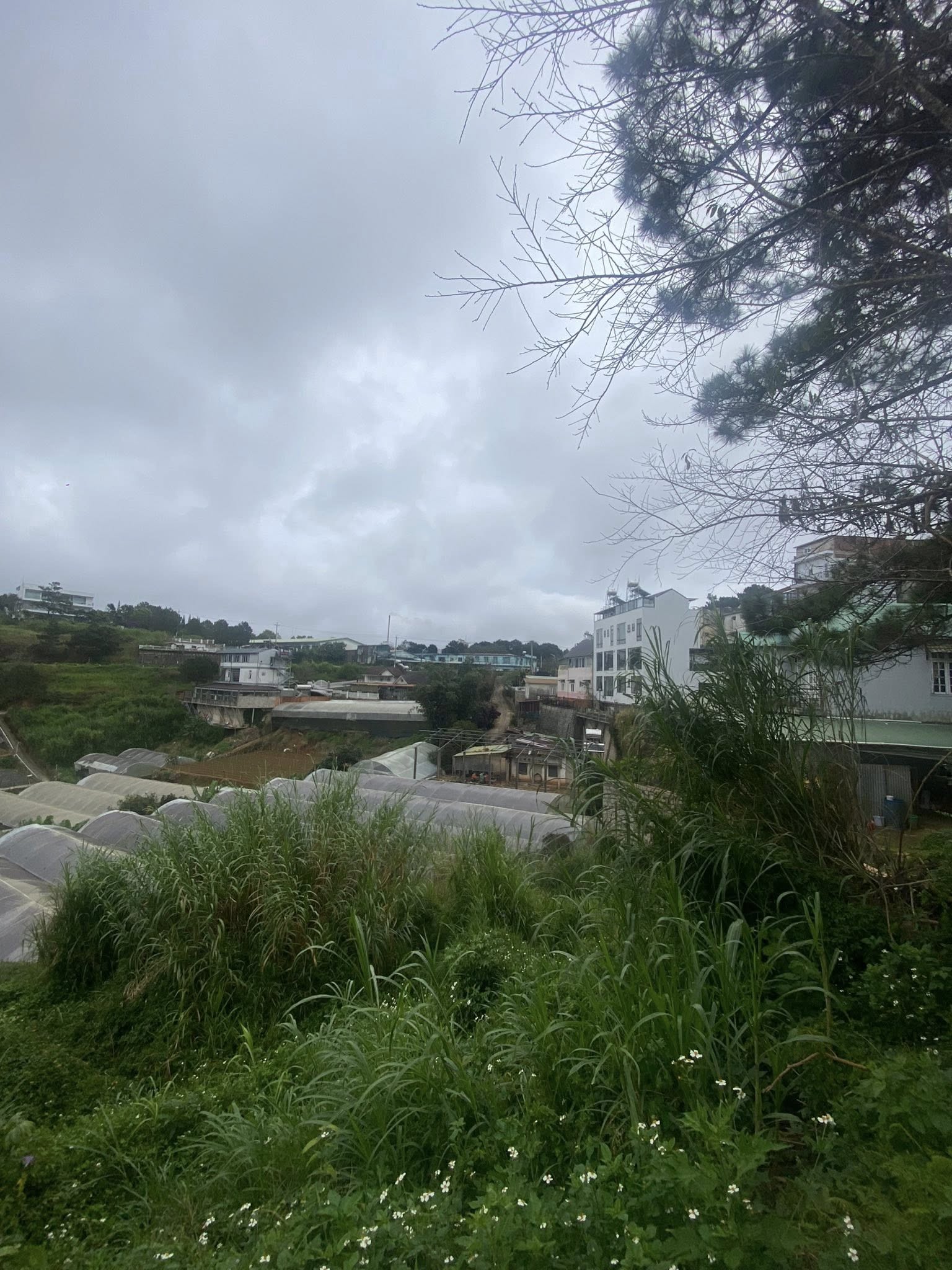Giảm Giá Bán Gấp Lô Đất View Thoáng Đẹp – Nguyễn Hữu Cảnh, P8 Cũ, Đà Lạt Giá Chỉ 7.9 Tỷ 2