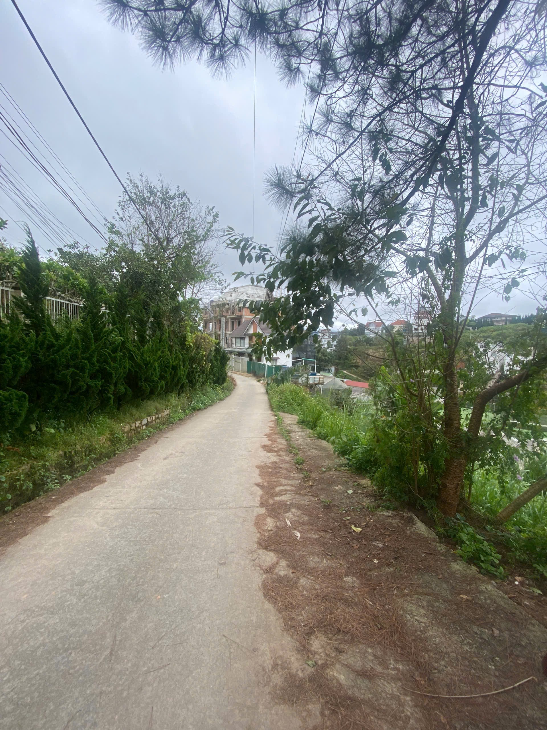 Giảm Giá Bán Gấp Lô Đất View Thoáng Đẹp – Nguyễn Hữu Cảnh, P8 Cũ, Đà Lạt Giá Chỉ 7.9 Tỷ